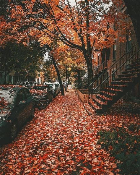 Fall Photo Challenge - 30 Fall Photography Ideas to Give Your Instagram ...