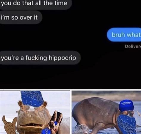 Stop Being A Hippocrip Meme By Prz123 Memedroid