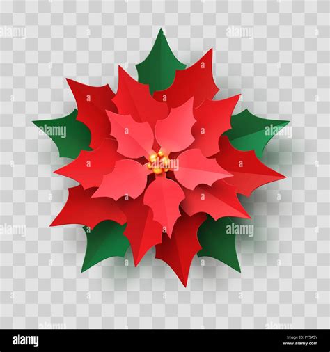 Vector Red Christmas Poinsettia Flower Stock Vector Image And Art Alamy