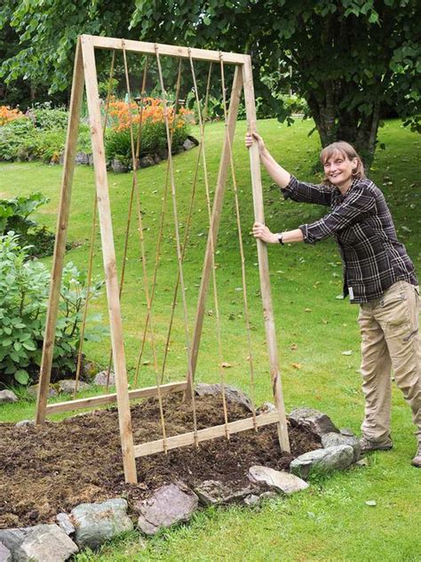 15 Easy Diy Cucumber Trellis Ideas A Piece Of Rainbow