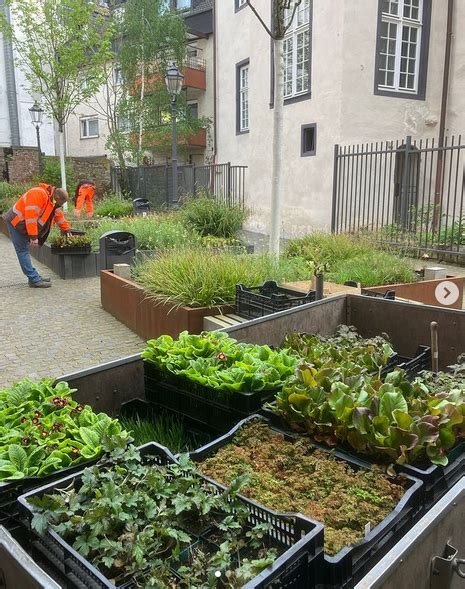 Alles Neu Macht Der Mai B Rgerinitiative Unsere Altstadt