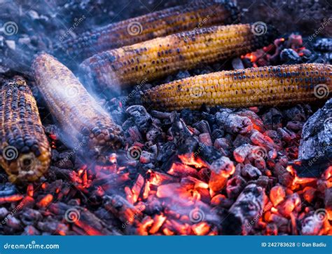 Fired Corn On The Campfire Corn On Fire Relaxation Camping Sign