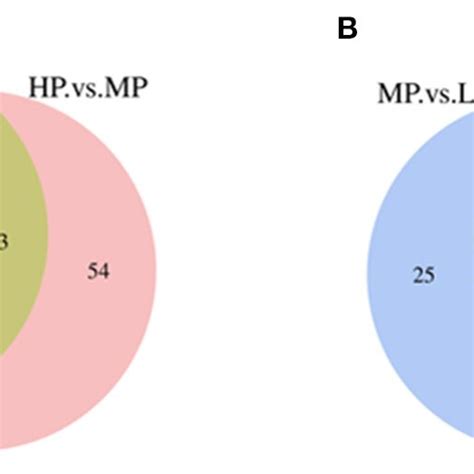 Figure E The Venn Diagram Of Diierentially Expressed Proteins A The