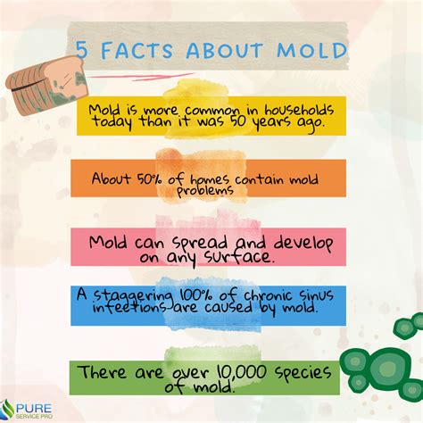 An Info Sheet Describing The Five Different Types Of Mold