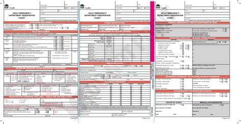 New South Wales Australia Adult Emergency Department Observation Chart