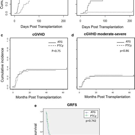 Acute Gvhd Grades Iiiv Cumulative Incidence A Acute Gvhd Grades