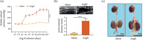 SciELO Brasil Inhibition Of CXCR2 Alleviates The Development Of