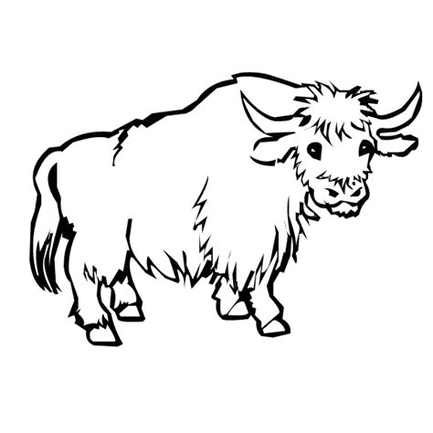 Yak Coloring Pages Coloriage Coloriage Animaux Coloriage Chat