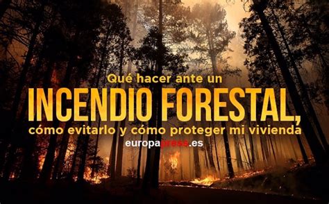 Qu Hacer Ante Un Incendio Forestal C Mo Evitarlo Y C Mo Proteger Mi