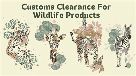 Customs Clearance For Wildlife Products A Guide For Businesses YouTube