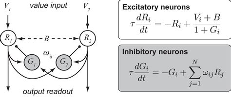 Dynamic Divisive Normalization Predicts Time Varying Value Coding In