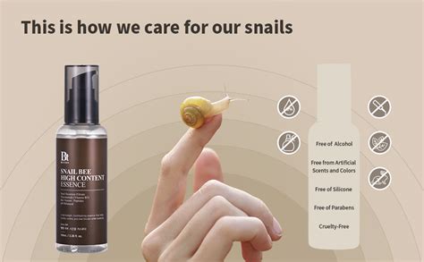 Amazon Benton Snail Bee High Content Essence Ml Fl Oz