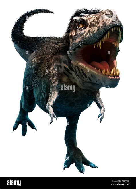 T Rex Plumas Fotografías E Imágenes De Alta Resolución Alamy