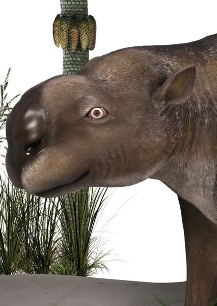 Pleistocene Fan Casting For Extinct Animals Face Claims Mycast Fan