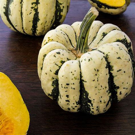 Sweet Dumpling Squash Seeds 4 G 20 Seeds Heirloom Open Pollinated