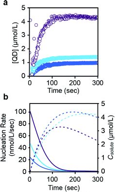 Persistent Nucleation And Size Dependent Attachment Kinetics Produce