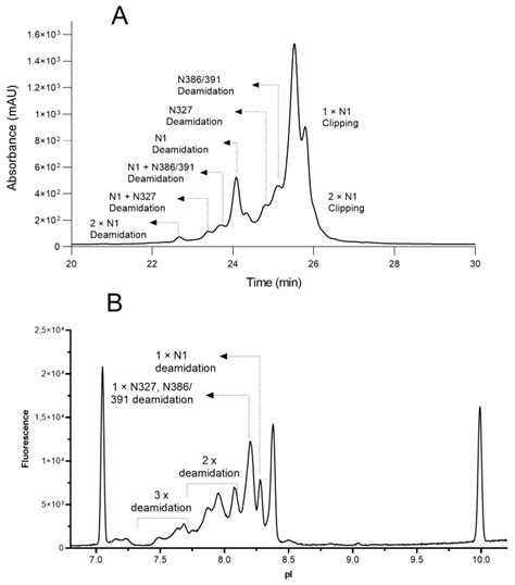 Antibodies Free Full Text Characterization Of N Terminal Asparagine