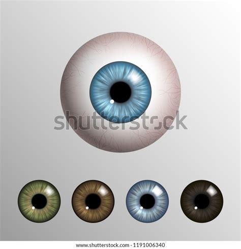 Realistic Eyes: Over 25,876 Royalty-Free Licensable Stock Vectors & Vector Art | Shutterstock