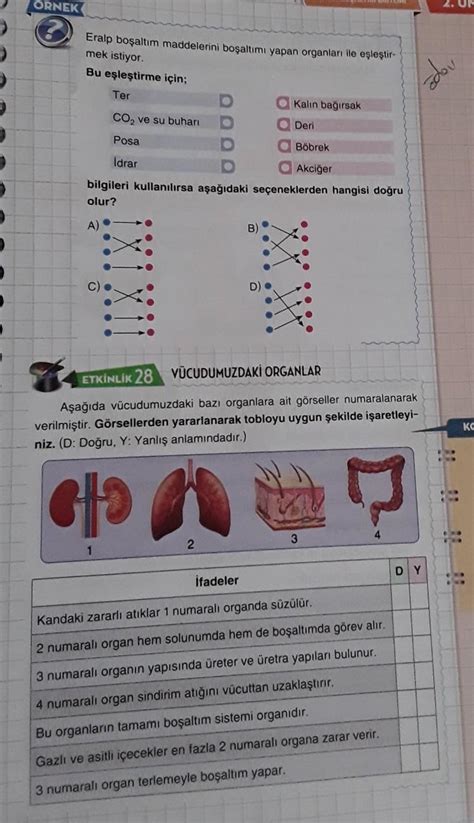 Bu Sorulari Yapar Misiniz Nolur Not Yapan Benden Hem Tak P Hem De En