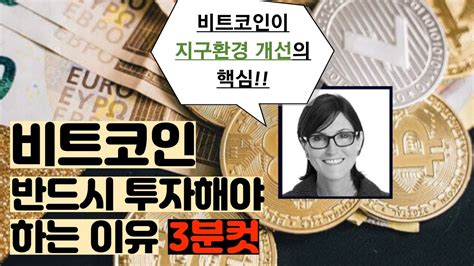 캐시우드가 말하는 당신이 반드시 비트코인 투자해야하는 이유 채굴과 신재생에너지 관계 전망 Youtube