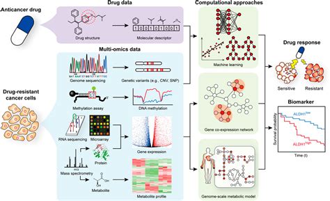 Frontiers Omics And Computational Modeling Approaches For The