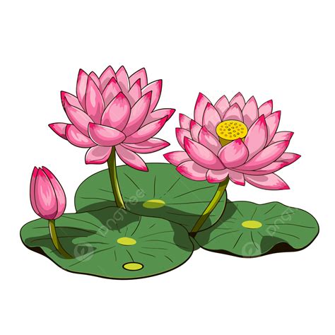 leitis clipart gegensatzliche englische worter schnell und langsam