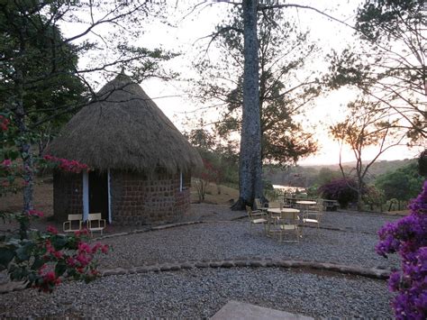 Ranch De Ngaoundaba Ngaoundere Cameroun Tarifs 2021 Mis à Jour Et