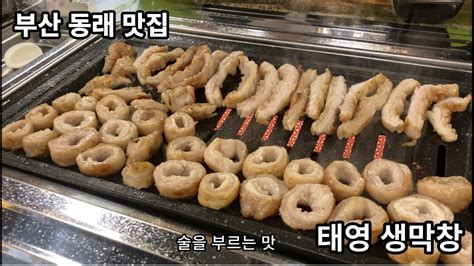 술을 부르는 맛 부산 동래 맛집 태영생막창 Youtube