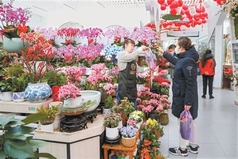 2000余万盆迎春年宵花上市 新华网