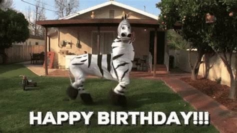 Happy Birthday Funny GIF - HappyBirthday Funny Gif - Discover & Share GIFs