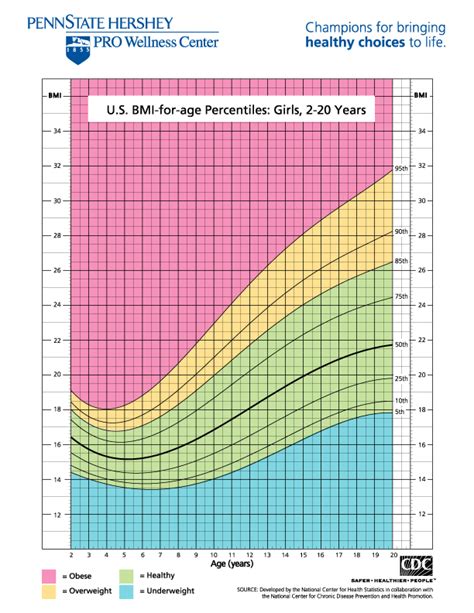 Bmi Chart Girls 2 20