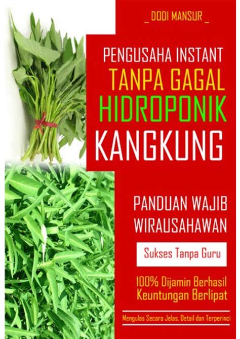 HIDROPONIK KANGKUNG