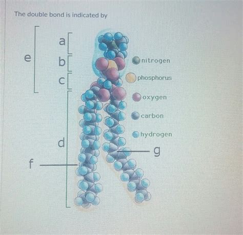 Solved glutamine glutamicacid 1非 What is the term for the | Chegg.com