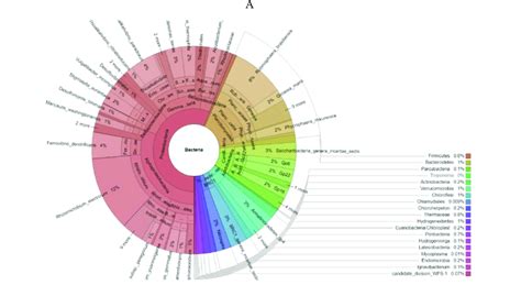 Krona Charts Representation Of Metagenomic And Taxonomic Classification