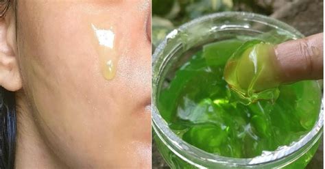 Come Fare Il Gel Di Aloe Vera In Casa Ohga