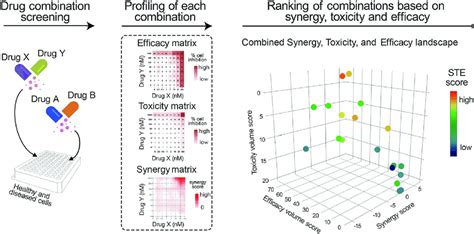 A Schematic Overview Of Syntoxprofiler The Dose Response Data From