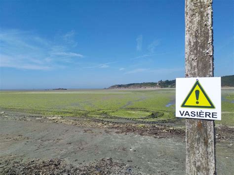 Marées vertes Eau et Rivières de Bretagne