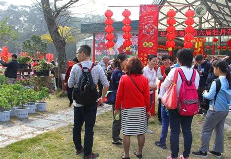 华南植物园开展“寻找南国冬日最美”科普导赏活动 中国科学院华南植物园