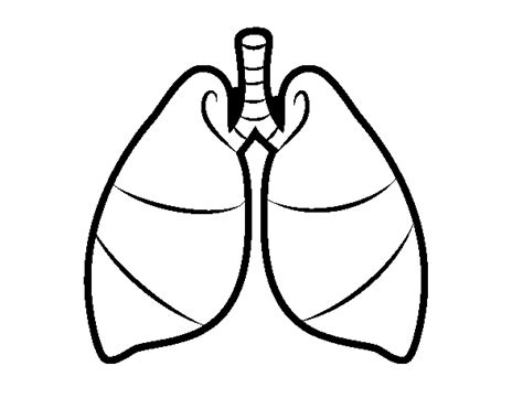 Lungs Coloring Page Coloringcrew