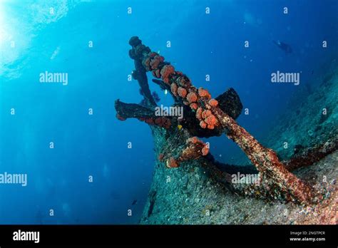 Scuba Divers Exploring Propeller Of Sunken Shipwreck In Cortez Sea