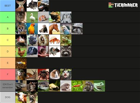 ULTIMATE PET TIER LIST Tier List (Community Rankings) - TierMaker