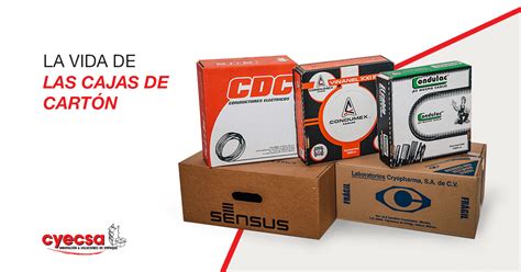 Cajas De Cart N La Vida De Las Cajas De Cart N Cyecsa