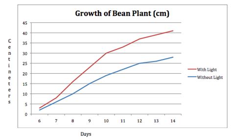 Our Bean Plant's Growth