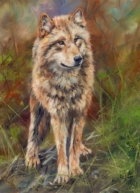 Grey Wolf Painting By David Stribbling