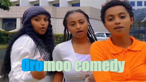 Comedy Afaan Oromoo Fi Taphoota Babbareedoo Afaan Oromoo Youtube