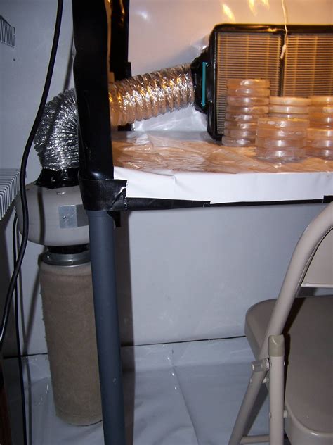 My Low Cost Mini Lab Flow Hood Setup Gourmet And Medicinal Mushrooms