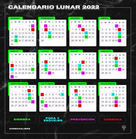 Calendario Lunar Cannabico Para El Hemisferio Sur 2022 Cosechalibre