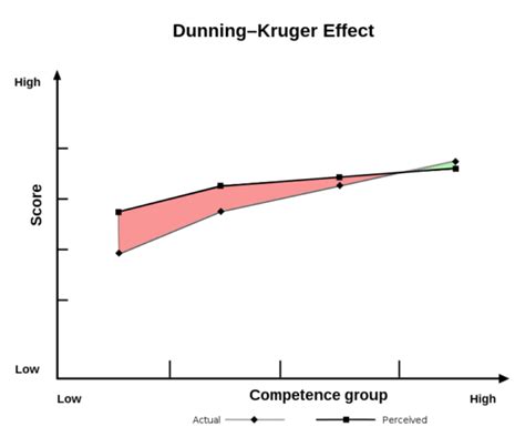 Qué es el Efecto Dunning Kruger Mérit