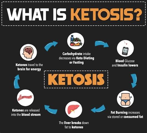 How To Stay In Ketosis Ketao