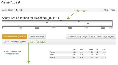 Primer design tools for PCR & qPCR | IDT